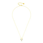 Load image into Gallery viewer, G21J-1FKC