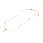 Load image into Gallery viewer, YGNP2025WD-16-A.webp